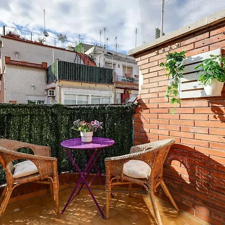 Apartment Penthouse With Big Terrace, Quiet Area, 1 Bedroom